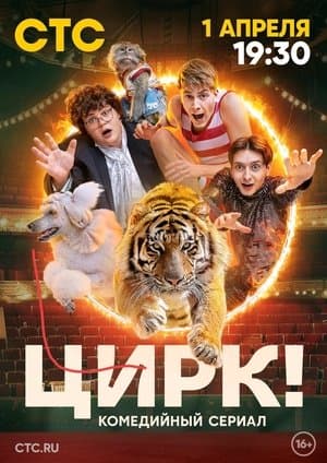 Цирк! streaming