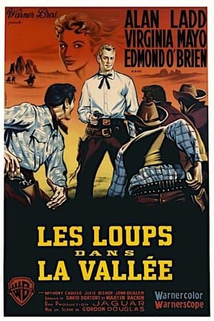 Les loups dans la vallée streaming