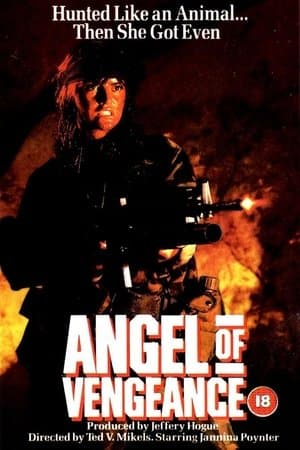 Angel of Vengeance streaming