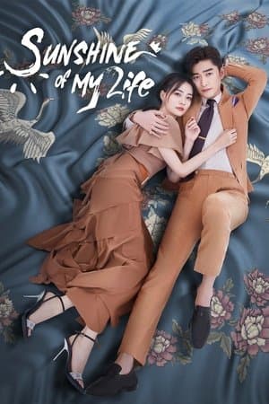 Sunshine of My Life streaming
