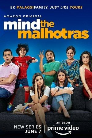 Mind the Malhotras streaming