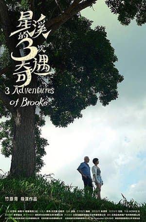 Three Adventures of Brooke streaming