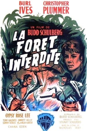La Forêt interdite streaming