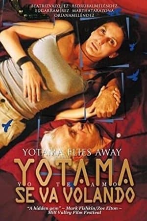 Yotama se va volando streaming