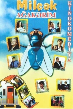 Fly streaming