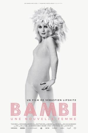 Bambi: A French Woman streaming