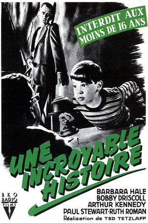 Une Incroyable histoire streaming