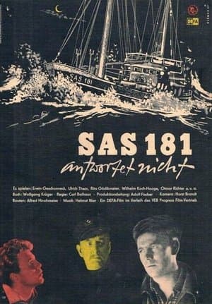 SAS 181 antwortet nicht streaming