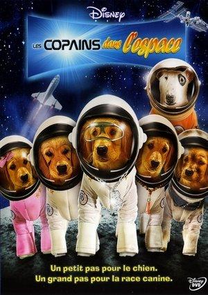 Les Copains dans l'espace streaming