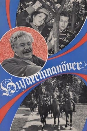 Husarenmanöver streaming