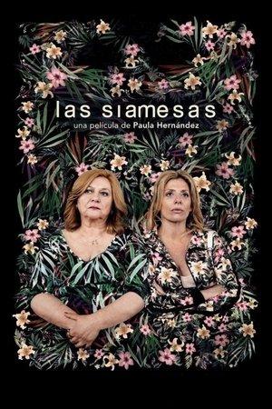 Las siamesas streaming