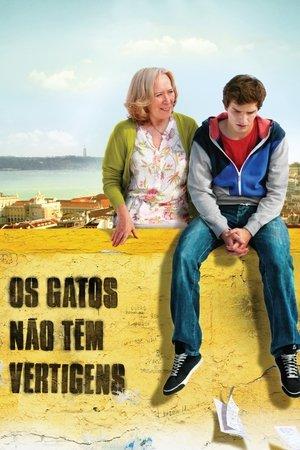 Os Gatos Não Têm Vertigens streaming
