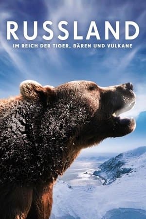 Russland - Im Reich der Tiger, Bären und Vulkane streaming