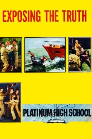 Platinum High School streaming