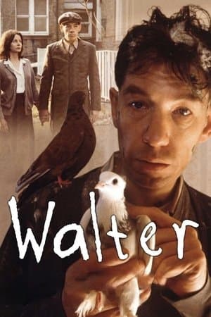 Walter streaming