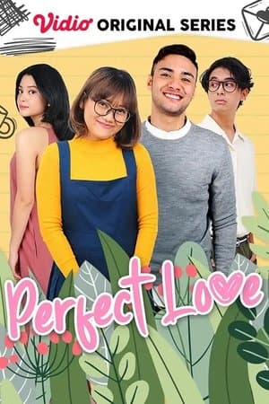 Perfect Love streaming