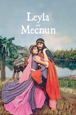 Leyla ile Mecnun streaming