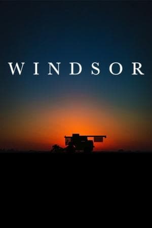 Windsor streaming