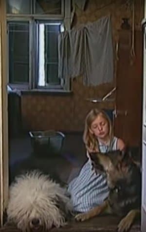 Suņu vīrs un Tille streaming