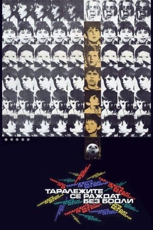Таралежите се раждат без бодли streaming