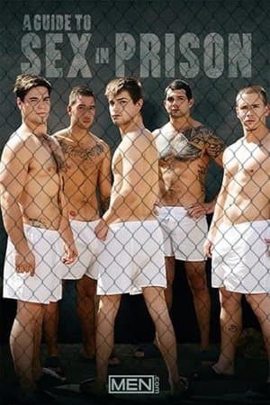 A Guide to Sex in Prison streaming