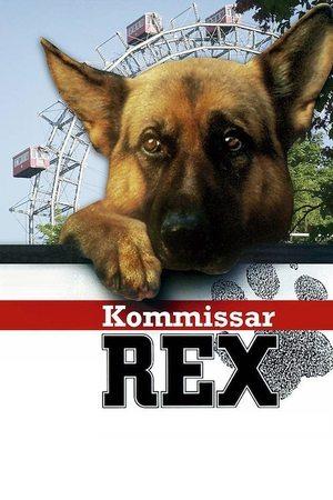 Rex, Chien flic streaming