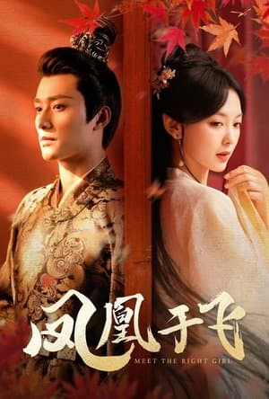 凤凰于飞 streaming