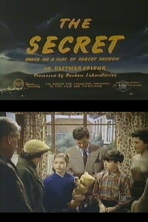 The Secret streaming