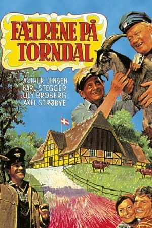 Fætrene på Torndal streaming