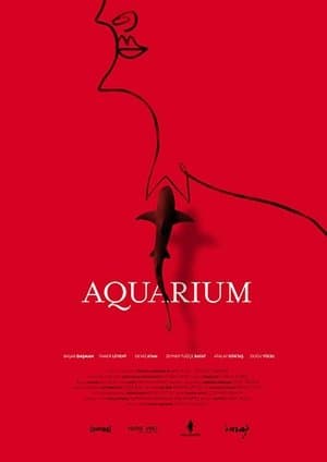 Akvaryum streaming