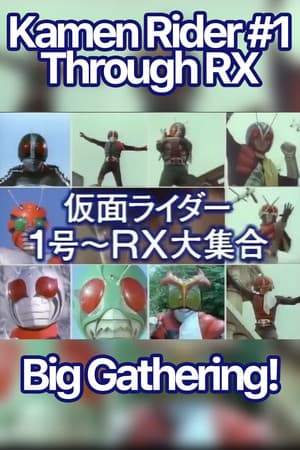 Kamen Rider 1 through RX: Big Gathering streaming