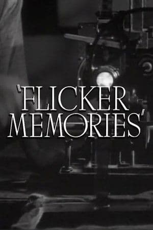 Flicker Memories streaming