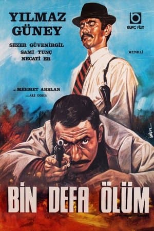 Çifte Tabancalı Kabadayı streaming