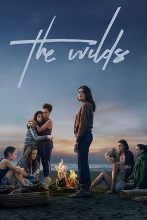 The Wilds streaming