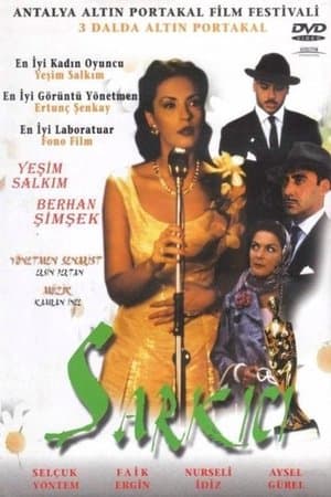 Şarkıcı streaming