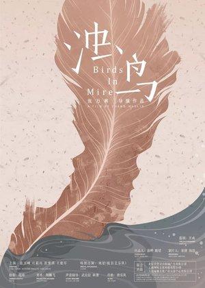 浊鸟 streaming