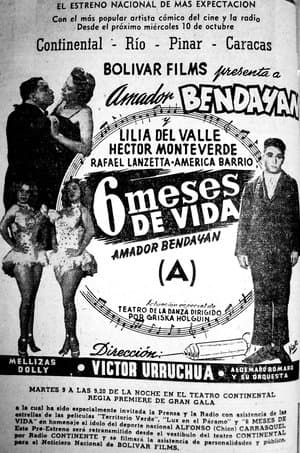 Seis meses de vida streaming