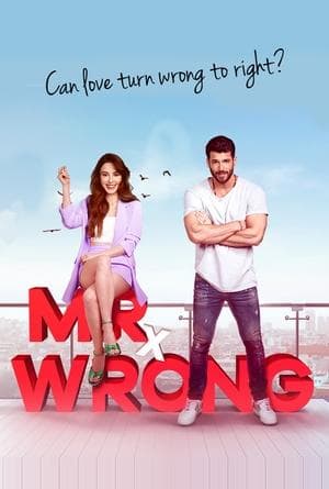 Mr. Wrong streaming