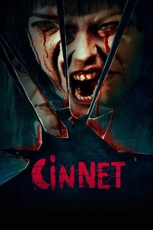 Cinnet streaming