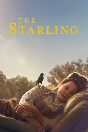 The Starling streaming