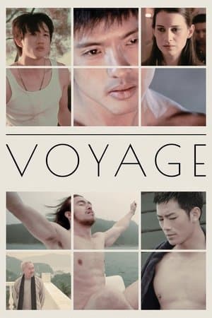 Voyage streaming