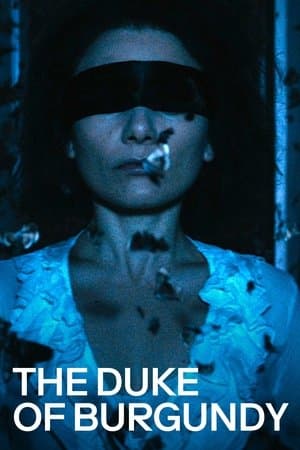 The Duke of Burgundy streaming