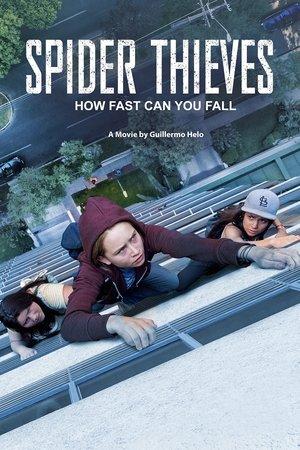 Spider Thieves streaming
