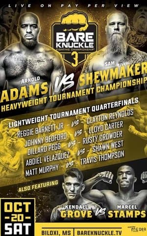 Bare Knuckle Fighting Championship 3 streaming