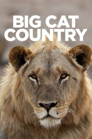 Big Cat Country streaming