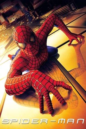 Spider-Man streaming