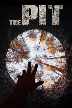 The Pit streaming