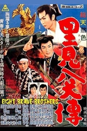 里見八犬傳 streaming