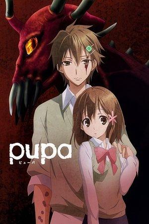 Pupa streaming