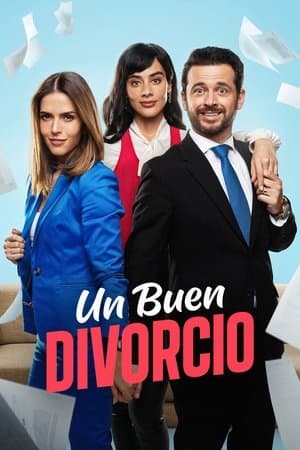 Un buen divorcio streaming